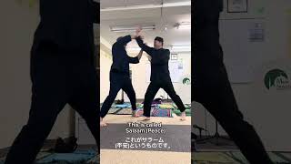 video pic