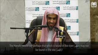 video pic